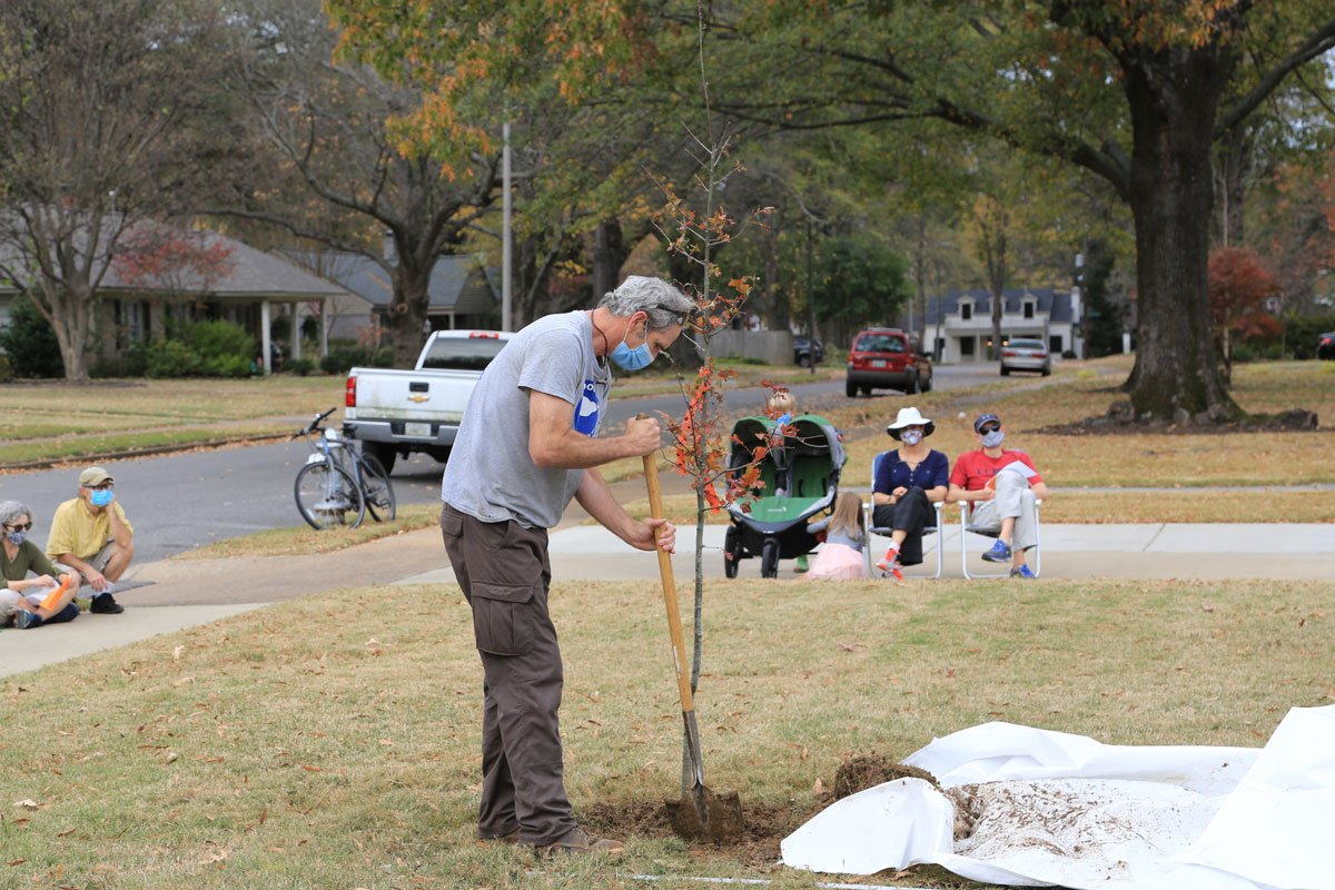 Arborist Ted McLaughlin finishes up backfilling soil